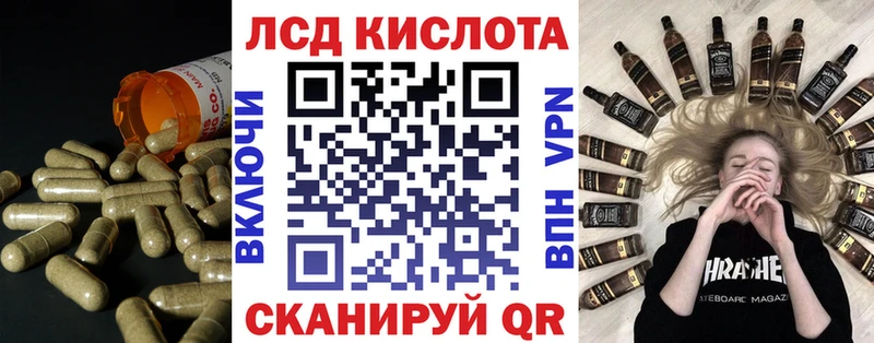 Лсд 25 экстази кислота  mega ONION  Камышлов  дарнет шоп 