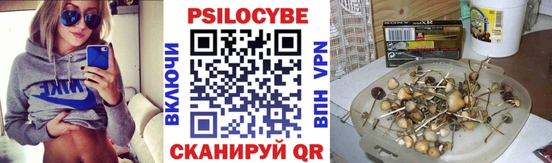 купить  сайты  Камышлов  Галлюциногенные грибы Magic Shrooms 